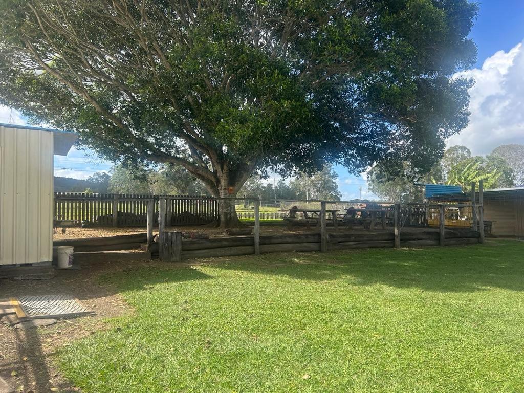 Gundy Pub & Caravan Park Gundiah Luaran gambar